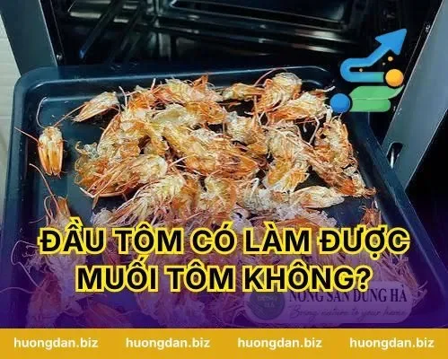 Đầu Tôm Có Làm Được Muối Tôm Không?